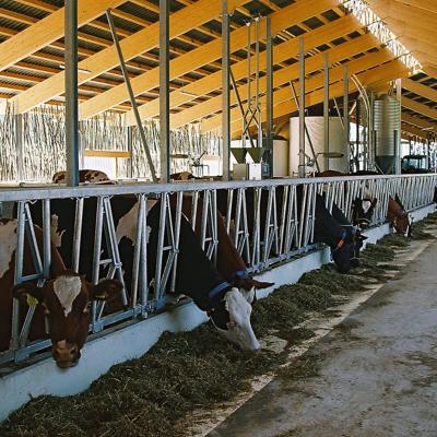 China Easy Install Prefab Barns And Sheds , Metal Cattle Shed Construction for sale