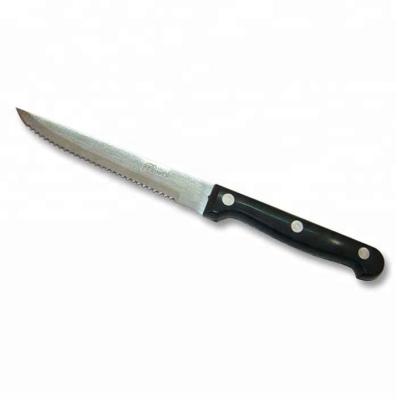 China Sustainable Stainless Steel Steak Knife Serrated Edge, Plastic Handle for sale