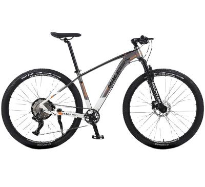 China Aluminum Alloy B010 29 inch shock absorbing mountain bike aluminum bicycle 33 shifting cross country bicycle full suspension gt saiguan bike for sale