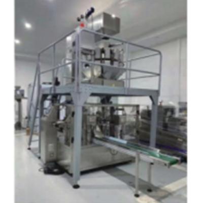 Cina 3KW Bag Feeding Automatic Granule Packaging Machine per sacchetti compositi in vendita