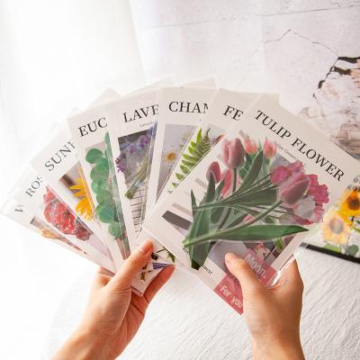 China Waterproof+Eco-friendly Korea INS Style 8 Designs Transparent PET Decorative Sticker Leaves Factories FOR for sale