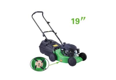 중국 4HP 휘발유 4 타격 잔디 깎는 기계 60 밀리미터는 집 정원을 위한 커터를 풀로 덮습니다 판매용