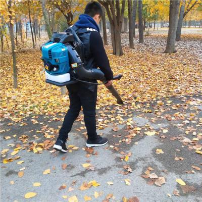 중국 가솔린 잎 송풍기 산림 소화기 FMBV415 무선 휴대용 판매용