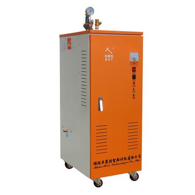 China Beiste GH 36kw horizontal electric steam generator for processing concrete and bridge processing for sale