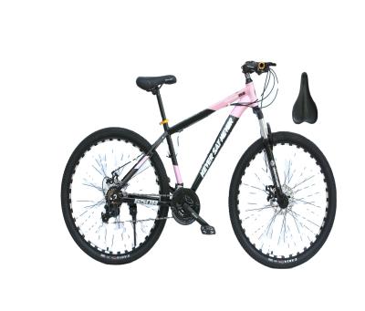 China 2021 Model Moutain Bicycle New Direct Factory Fashion Mountain Bike Mountain Bike Very Economical Adult Bicycle for sale