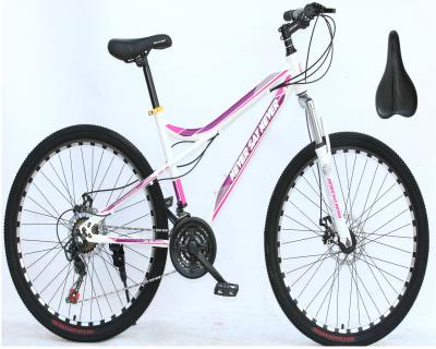 China Popular mountain bike the new high quality mountain bike of 2021 21-speed appearance high level female mountain bike for sale