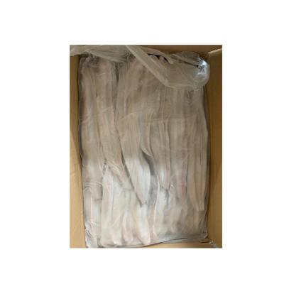 China FROZEN hot sale high quality sea eel fillet high quality frozen food grade seafood for sale