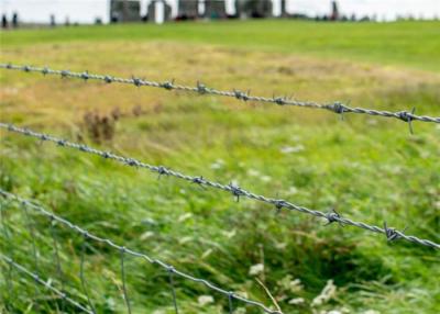 China Crossed Wire Fence 16 Gauge Galvanized Barbed Wire for sale