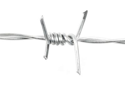 China Securiy 50kg / Coil Galvanized Steel Fence Barbed Wire 1.6mm for sale
