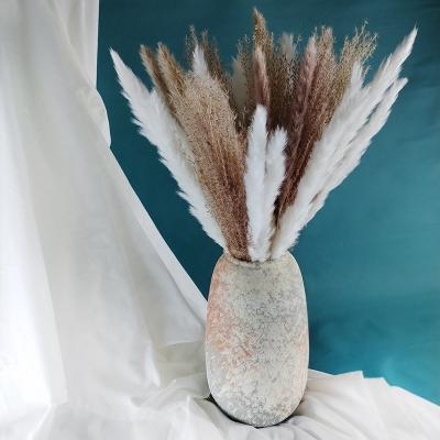 China Flower Bouquet Natural Dry Pampas Grass Set Decorative Dry Flower and Plant Yunnan Dry Flower Centerpiece Bulk Bouquet for Home Decoration for sale