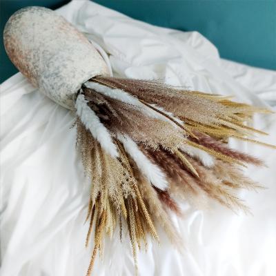 China Natural Dried Flower Bouquet Amazon Boho Decor 30 60 70 80 Pcs Mix Dried Bunny Tail Pampas Grass Wild Pompous Flower Bundle Small Dried Pampas Grass Bunch for sale