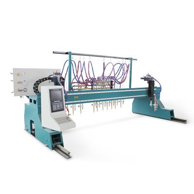 China Construction works Multi Functional Multi Strip Flame Ion Cutting Machinery Gas Flame Cutting Machine Gantry for sale