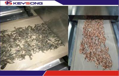 China Seafood Microwave Drying Machine High Efficiency , Industrial Microwave Drying Equipment for sale