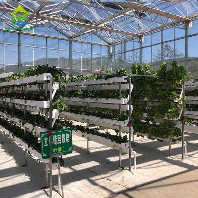 Cina Attrezzatura idroponica di giardinaggio Soilless su misura di azienda agricola di verticale dei sistemi in vendita