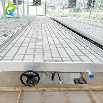 China Hydroponic Greenhouse Rolling Bench Grow Table Seedbed For Vegetable Indoor Farming for sale