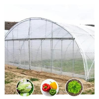 China High Quality Economy Single Span Plastic Film Grow Tent Vegetable Greenhouse for sale