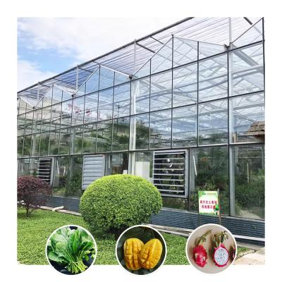 China Kit de estufa de vidro agrícola resistente a intempéries com resistência ao vento contra a neve à venda