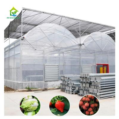 China Large Poly Tunnel Plastic Film Multi-span Strawberry Growing Greenhouse With Shading System for sale