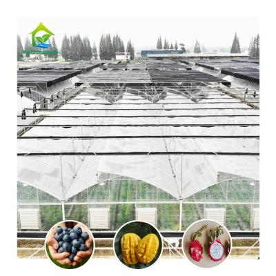 China Tropical Top Ventilation Sawtooth Multi-span Plastic Film Custom Greenhouse for sale