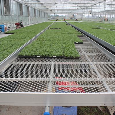 China HeavyDuty Ventilated Wire Mesh Commercial Greenhouses Tables for Plant Seedling Raising for sale