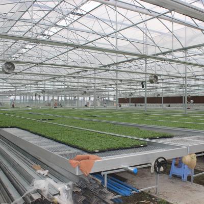 China RustResistant Lightweight Expanded Wire Mesh Greenhouse Grow Tables for Flowers for sale