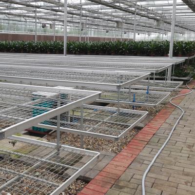 China Space Saving Easy Installation Commercial Greenhouse Wire Mesh Tables Greenhouse Rolling Bench for sale