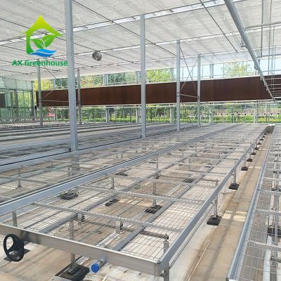 China Agricultural Customized Commercial Wire Mesh Greenhouse Rolling Bench Grow Table for sale