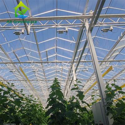 China Armação de aço galvanizada quente estufa de vidro comercial de Multispan da grande Venlo à venda