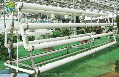 Cina Attrezzatura crescente idroponica del sistema idroponico Soilless verticale della serra in vendita