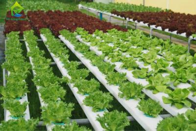 Cina Attrezzatura crescente idroponica verticale di irrigazione del PVC del sistema non tossico dell'idrocoltura in vendita