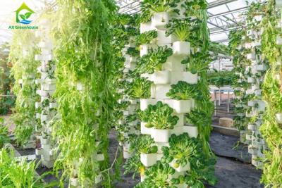 Cina Sistema idroponico Soilless rispettoso dell'ambiente della lattuga del sistema 75*50mm NFT in vendita
