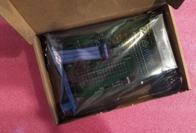 Cina MODULO INTRODOTTO DIGITALE SICURO 24VDC 16CH (24 VCC, 16 canali) di Honeywell SDI-1624 in vendita