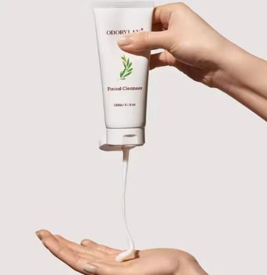 China Limpeza facial espumante Gel de limpeza de poros Niacinamida Limpeza facial à venda