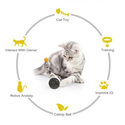 China New Cat Toy Hunter Balance Cat Professional Hunting Toy Maker Interactive Kitten Oscillation Stored for sale