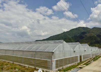 China Invernadero grande galvanizado y sumergido en caliente con cubierta de plástico resistente a los rayos UV en venta