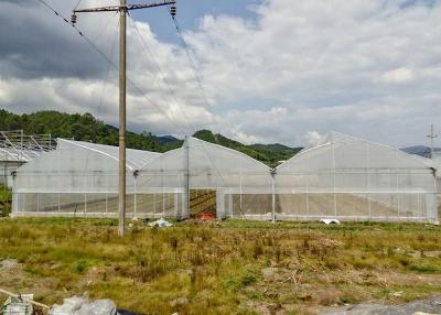 中国 荒い 気候 の ため に 防 雨 プラスチック フィルム を 備えた 防 腐 鋼化 温室 販売のため