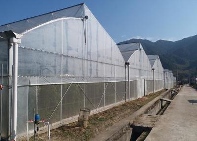 中国 PEフィルムで覆われた温室構造 換気窓 販売のため