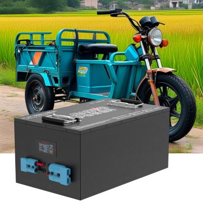 China Custom 48V 150Ah LiFePO4 Lithium Battery for Tuk Tuk Moto Taxi Three Wheeler Passenger Auto Rickshaw Electric Toto for sale