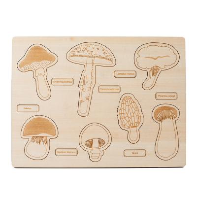 China Montessori Toy wooden Mushroom Growth Cycle Puzzle &Wooden Dinosaur Puzzle for sale