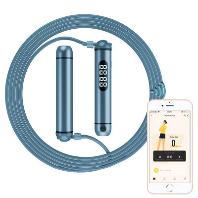 China Fitness Exercise High Quality Adjustable Speed Weighted Jump Rope With Aluminum Handle for sale