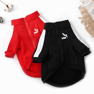 China Stocked Cheap Fashion Apparel Pet Dog Clothes Casual Jersey Sport Jackets Warm Luxury Cotton Dog Clothes With Zipper for sale