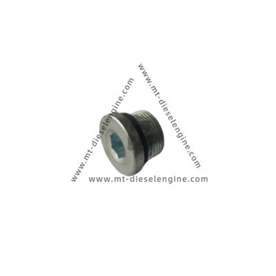 China Enchufe de tornillo 01148158 01148136 0114 8158 0114 8136 1148158 1148136 para el motor de TCD4.1 de deutz en venta
