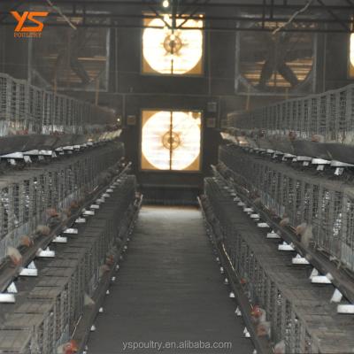 China Durable Top Sale A Type Battery Broiler Cage For Chicken for sale