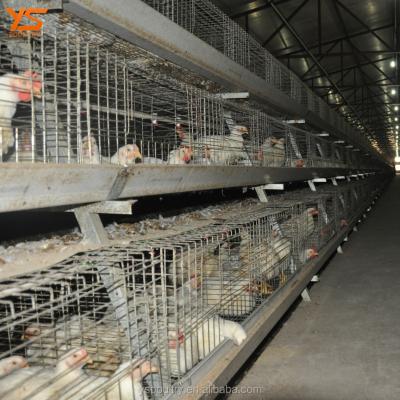 China Durable Animal Husbandry Equipment Best Broiler Cage Price for sale