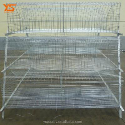 China Durable High Quality Type A Chicken Cages For Meat Broiler Chicken for sale