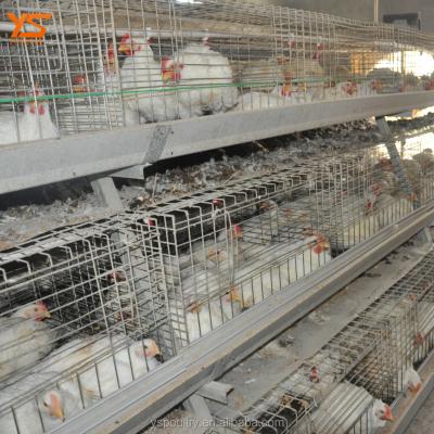 China Sustainable Chicken Cage Manufacturer For Growing Broiler In Nigeria for sale