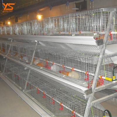 China Durable New Design Chicken Broiler Farm House For Sale In Philippines for sale