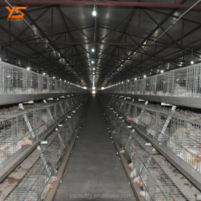 China Best Durable Design A Type Automatic Chicken Broiler Cage for sale