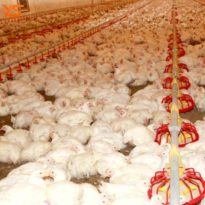 China Automatic Broiler Chicken Feeder For Broiler / Pan Feeding System for sale