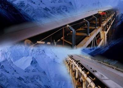 China Resistente frío industrial de la banda transportadora para el carbón/la industria harinera usando en venta